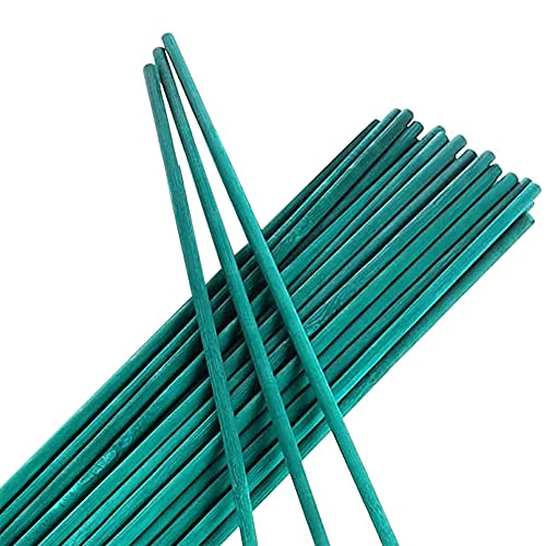 TENAX BAMBOO STICK 50 CM 15 UNIDADES (Jardinagem) TENAX - Gaiolas e suportes para plantas - bamboo, stick, 50 cm, jardinagem