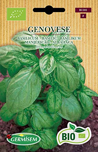 Sementes de Jardim GERMINSEM (Papaveri) 1,5 kg - Manjerico Genoves GERMISEM - Sementes - papaveri, 15 kg, manjerico genoves