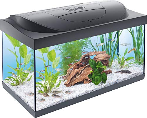 Aquário TETRA Starter Line Led (54L - Preto) Tetra - Habitats para répteis e anfíbios - 54 litros, filtro integrado, luz LED, tapete de algodão