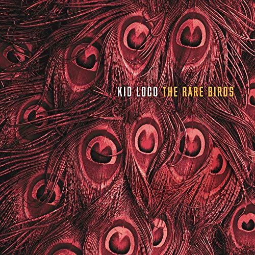 CD The Rare Birds - The Rare Birds (1 CDs) WAGRAM - Música e gravações de som - música electrónica, pop, folk, trip hop