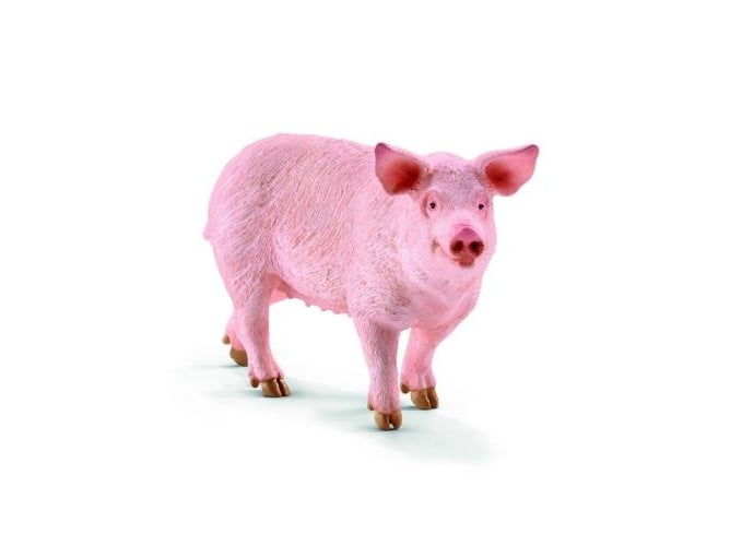 Figuras de Brincar SCHLEICH Farm Life (Idade Mínima Recomendada: 3 anos) Schleich - Bonecos de ação e brinquedo - animais, detalhes, movimento, 3 anos