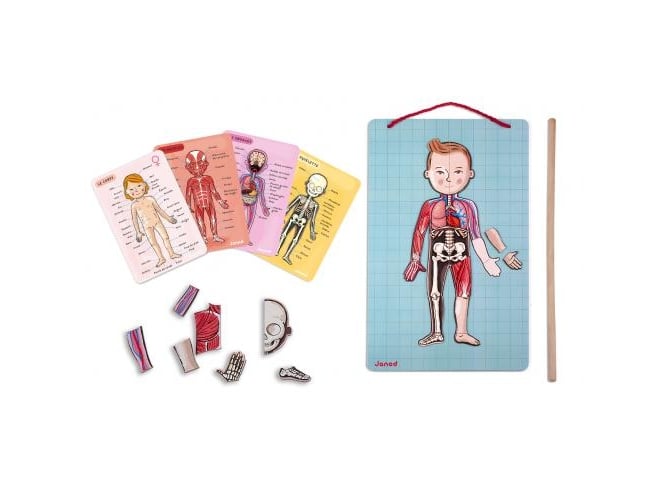 Jogo de Tabuleiro JANOD Bodymagnet (Idade Mínima: 7) Janod - Brinquedos - 76 peças, corpo humano, anatomia humana, cartas de informação