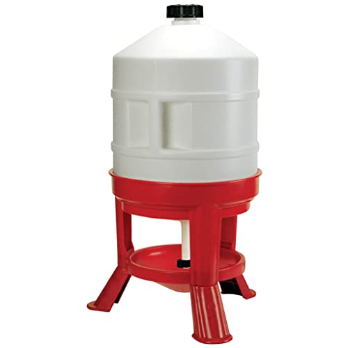 Bebedouro para Aves de Capoeira 30 L Plástico 70233 KERBL KERBL - Alimentadores e bebedouros para o gado - 30 L, plástico resistente, avaliação corral