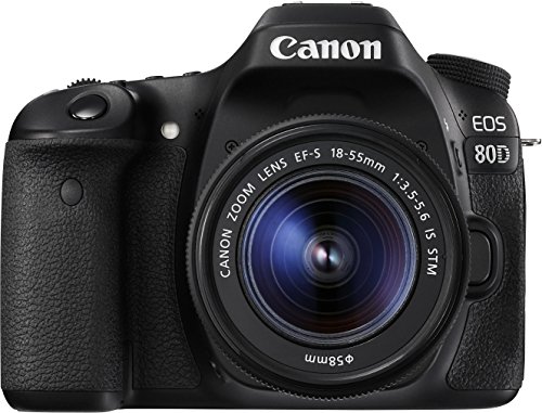 Máquina Fotográfica Reflex CANON EOS 80D + EF-S 18-55mm f/3.5-5.6 IS STM (24.2 MP - Sensor: APS-C - ISO: 100 a 16000) Canon - Câmeras - 24.2 MP, APS-C sensor, ISO 100-16000, foco automático