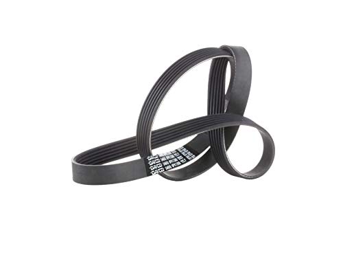 Correia de Cabo para Máquina de Cortar Cabelo DAYCO 6PK1388 Dayco - Peças do motor do veículo automóvel - preto, nylon