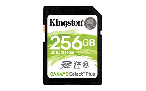 Cartão de Memória SDXC KINGSTON Canvas Select Plus (256 GB - Class 10, UHS-I) Kingston - Cartões de memória flash - 256 GB, Class 10, 100 MB/s, 85 MB/s