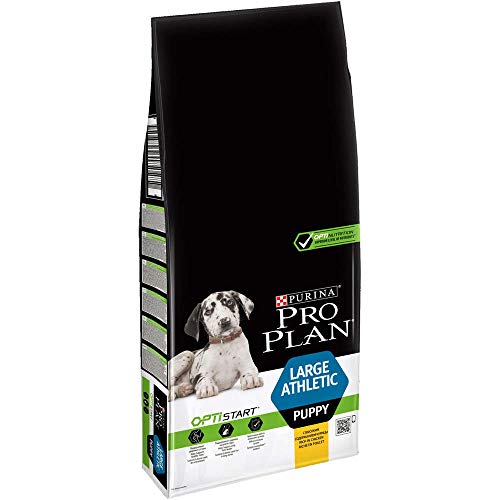 Ração para Cão PURINA Pro Plan (12 Kg - Seca - Adulto - Sabor: Frango) PURINA - Ração para cães - 1,2 kg, seca, adulto, frango