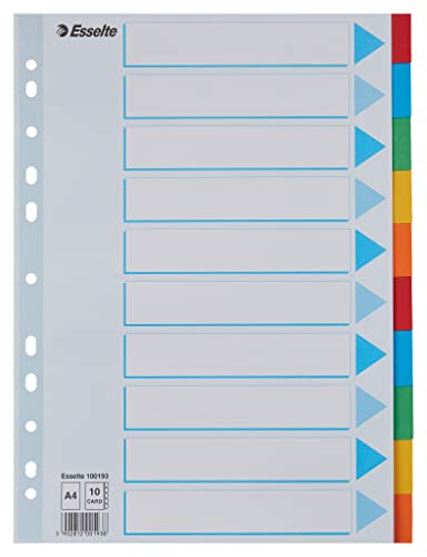 Separador ESSELTE (Branco - Polipropileno - A4) Esselte - Separadores de índice - a4, polipropileno, 10 folhas, agulhas