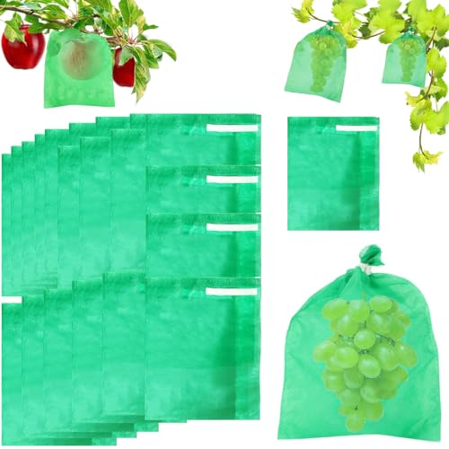 Bolsas Protetoras de Uva 100 Unidades (Recondicionado Como Novo) JLTXKST - Agricultura - bolsas, protetoras, uva, 100 unidades, recondicionado