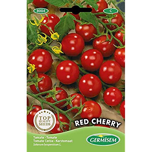 Sementes de Tomates Vermelhos GERMISEM RED CHERRY GERMISEM - Sementes - tomate, vermelho, saudavel, nutritivo