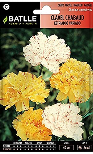 Sementes BATLLE CLAVEL Chabaud Estriados Vdo. BATLLE - Sementes - anual, primavera outono, floricultura, macizos