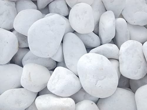 Areia para Plantas VEGARA STONE (500 g) Vegara - Móveis de exterior - 500 g, branco, textura suave