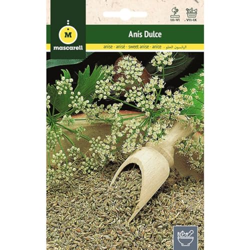 Sementes de Ervas Aromáticas MASQUERELL Anis Dulce Mascarell Semillas, S.L. - Sementes - anis, aroma, estimulante, estomático