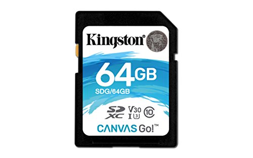 Cartão de Memória SD KINGSTON Canvas Go (64 GB - 170 MB/s) Kingston - Cartões de memória flash - 64 gb, 170 mb/s, Classe 10, preto