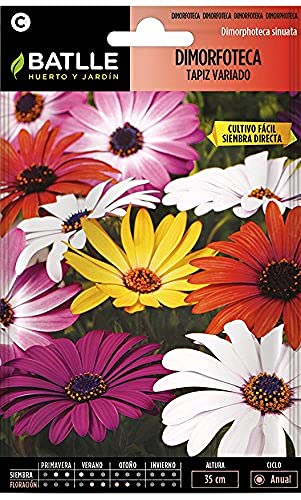 Sementes de Ervas e Plantas para Animais BATLLE Dimorfoteca Tapiz Variedad (2.5 g) BATLLE - Sementes - dimorfoteca, tapiz, 2.5 g, versátil