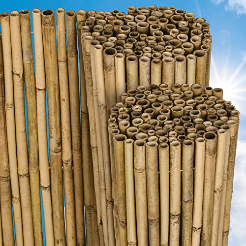 Vedação para Varanda SOL ROYAL Bambu B38 Sol Royal - Cercas e barreiras - bambu, natural, 240 cm, 120 cm