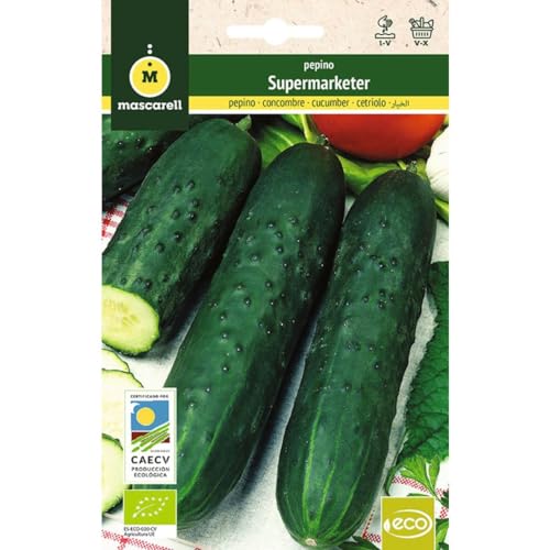 Sementes de Pepino MASCARELL Marketmore (70 g) Mascarell Semillas, S.L. - Sementes - pepino, 70 g, rápido, abundante