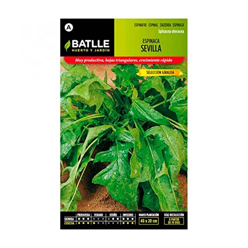 Sementes de Ervilha BATLLE ESPINACA (1,5 g) Semillas Batlle - Sementes - erivilha, batlle, espinaca, 15g