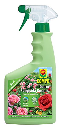 Spray de fungicida para rosas e outras plantas 750ml COMPO Compo - Jardinagem - fungicida, rosas, 750ml