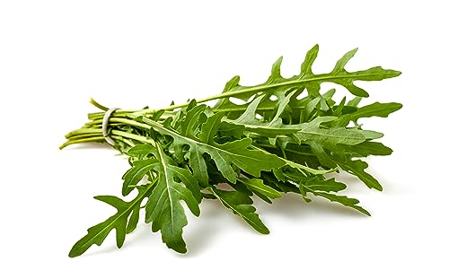 Sementes Orgânicas Rúcula/Senfrequa 500 Sementes Resistentes à Semeadura 100% Natural Prademir - Sementes - rúcula, senfrequa, sementes orgânicas, resistentes à semeadura