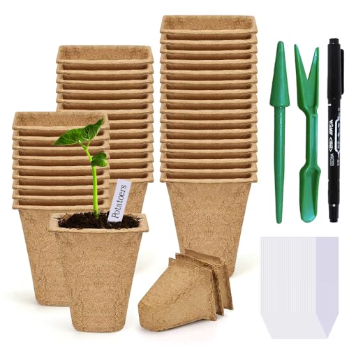 Caixa com 100 Peças de Macias de Semillas de Fibra Biodegradável ALTHEA SARL - Vasos e canteiros - biodegradável, fibra, 100 peças