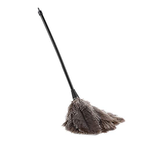 Escova de Pássaros para Cães PLUMERO AVESTRUZ (Tamanho: M) Zerodis- - Suprimentos de limpeza doméstica - escova, pássaro, cão, plumero, avestruz