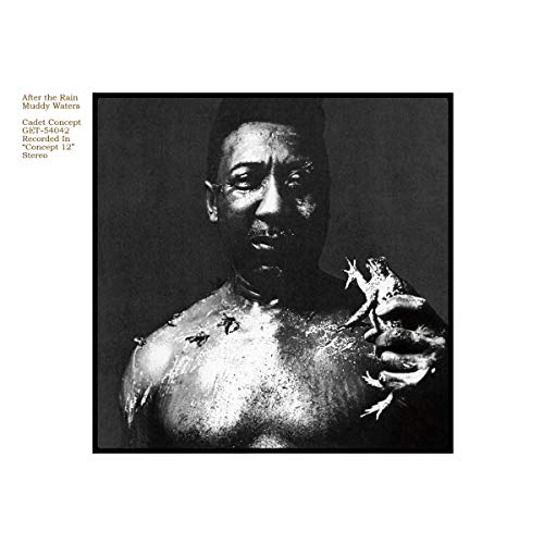 After The Rain / 1 Vinil LP (Vídeo) GET ON DOWN - Cds de música - after the rain, vinil lp, vídeo