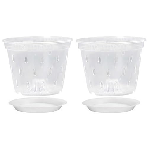 Vaso Plástico Transparente Orquídeas 14 Cm 2 Unidades TUELALY Tuelaly - Móveis de exterior - plástico, transparente, 14 cm