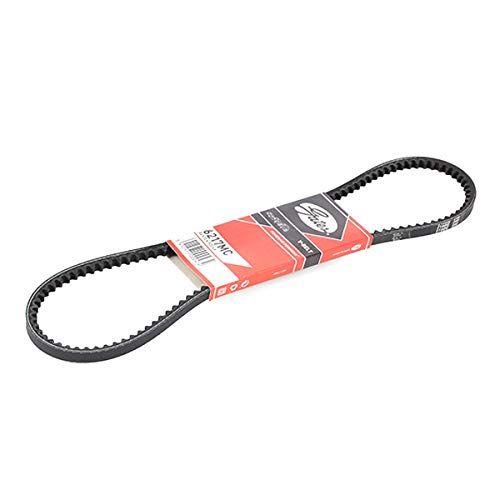 Cadeia de Corrente para Porta GATES Avx10 X 925 6217M GATES - Peças do motor do veículo automóvel - corrente, porta, GATES Avx10 X 925, 6217M, caucho reforçado, fibra
