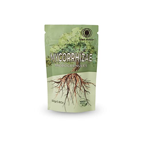 Micorrizas Naturais 50 Gr R&R Shop R&R SHOP - Adubos - micorrizas naturais, 50g, tonificar, fortalecer, crescimento