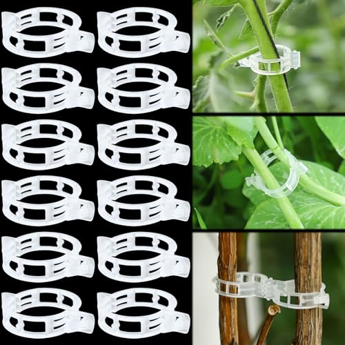 Acessório de Jardinagem AMDZGLB (Verde - Plástico) AMDZGLB - Gaiolas e suportes para plantas - verde, plástico