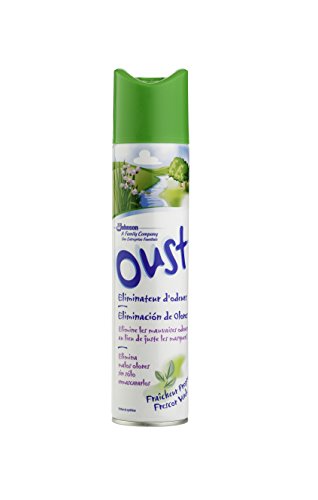 Ambientador BRISE OUST Purificador Aire Vaporizador Frescor (300ml) Brise - Aromatizadores de ambiente - purificador, 300ml, elimina odores, fresco