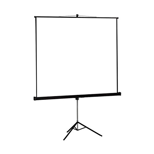 Tela de projeção aproximadamente 200 x 200 cm Approx - Telas de projeção - 200 x 200 cm, retardante ao fogo, branco mate, bordes pretos