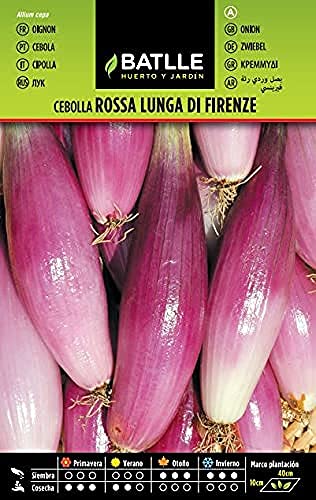 Sementes de Cebola BATLLE Lung Firenza (1,5 kg) BATLLE - Lâmpadas de plantas e flores - cebola, 15 kg