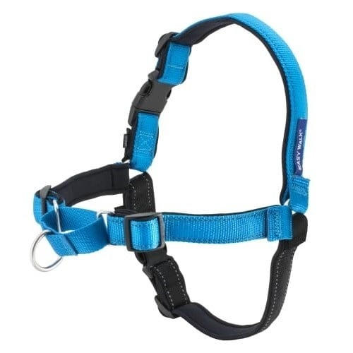 Peitoral para Cão EASYWALK Deluxe (Azul - 58-76cm) EASYWALK - Coleiras e arnês para animais de estimação - peitoral, cão, deluxe, azul, neopreno, correia nylon