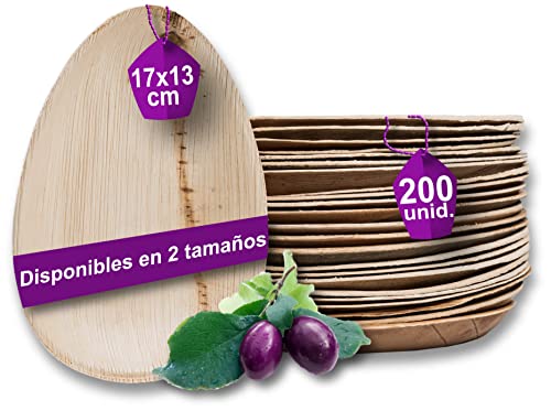 Conjunto de Pratos WAIPUR (200 Unidades) Rabe Kontor - Utensílios de mesa - pratos, plástico duro, 200 unidades, redondos, quadrados