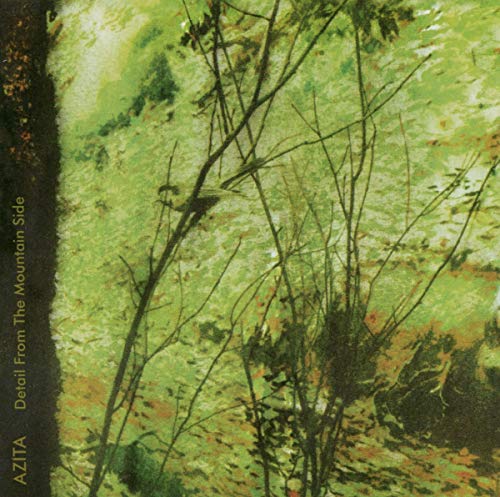 Livro Detalle De La Cara Del Monte (Inglés) DRAG CITY - Cds de música - poemas, amor, perda