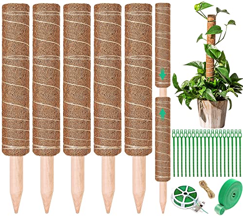 Suporte para Plantas NCKIHRKK 5 Peças Tutores NCKIHRKK - Gaiolas e suportes para plantas - 5 peças, tutores, suporte