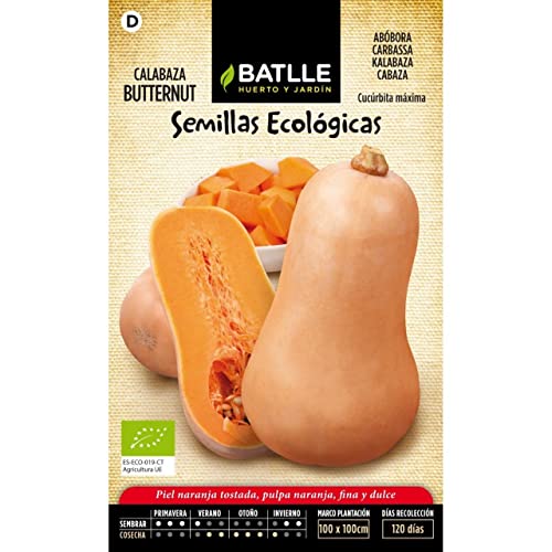 Sementes Ecológicas De Abóbora Butternut 100 Unidades BATLLE - Sementes - ecológicas, abóbora, butternut