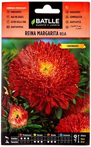 Sementes de Plantas Ornamentais BATTLE REINA MARGARET (Vermelho) Semillas Batlle - Sementes - semelhantes, ornamentais, vermelho, 1000 unidades