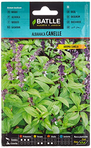 Sementes de Ervas e Plantas BATLLE ALBAHACA (100 g) BATLLE - Sementes - albahaca, 100g