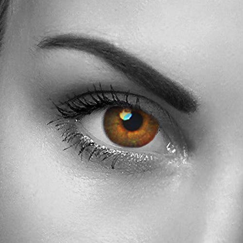 Lentes de Contato CLARITAS Color Brown (Multicor) EYE EFFECT - Lentes de contato - multicor, castanho