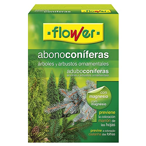 Flores de corte para jardim flower 10518 | Preto FLOWER - Adubos - jardim, preto, flor