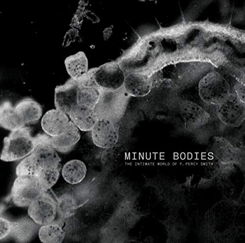 DVD Minute Bodies - The Intimate World Of F. Percy Smith (Edição em Espanhol) CITY SLANG RECORDS - Música e gravações de som - dvd, minute bodies, intimate world, f. percy smith, edição espanhol