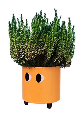 Vaso FISURA Original com Olhos Laranja (Cerâmica - 13x12.5cm) Fisura - Vasos e canteiros - cerâmica, 13x12.5cm, olhos laranja