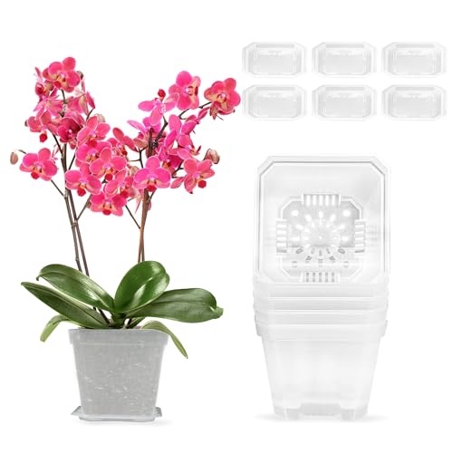 Vaso para Orquídeas 6 Unidades (Plástico - 10 cm) duozoanz - Vasos e canteiros - plástico, 10 cm, orquídeas