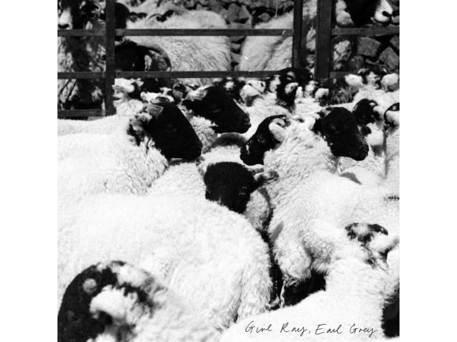 Vinil The Tea Party - Earl Grey (1LP) (Vídeo) Republic Of Music / Mau - Cds de música - vinil, álbum, rock alternativo, reedição