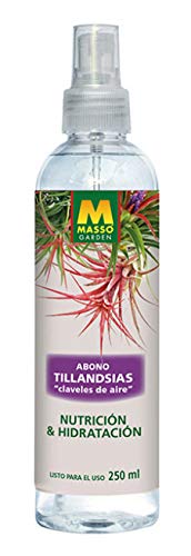 Tillandsia 'Clavellas de Ar' (Recondicionado Como Novo) MASSO - Adubos - ornamental, epífita, luz solar, água regular