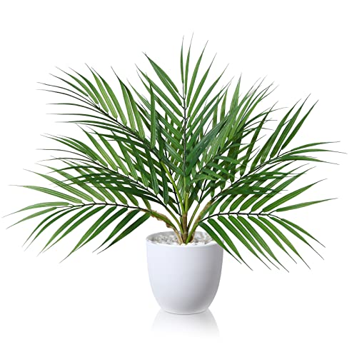 Planta Artificial SOGUYI Areca (Verde - 40 cm) SOGUYI - Casa e jardim - planta artificial, 40 cm, verde, fácil de manter