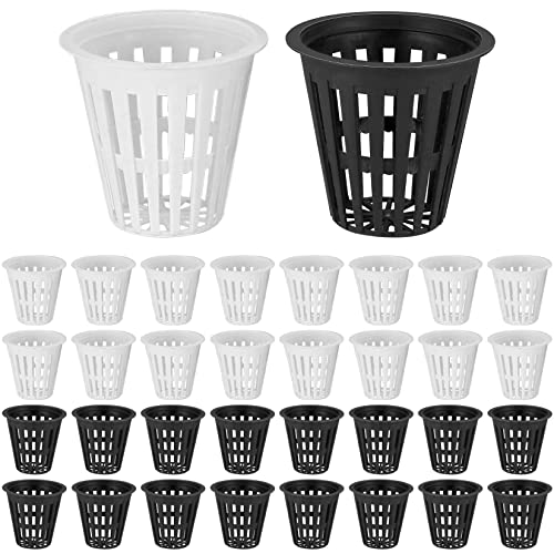 Mala Macia 50 Unidades Red (Jardinagem e Artesanato) SYZN - Vasos e canteiros - 50 unidades, red, jardinagem, artesanato